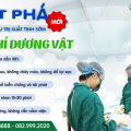 Bác Sĩ Tiết Lộ: Các Phương Pháp Điều Trị Xuất Tinh Sớm Hiện Nay – Nam Giới Đừng Bỏ Qua!