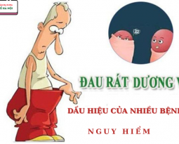dau-rat-duong-vat