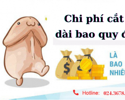 chi-phi-cat-dai-bao-quy-dau