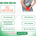 90% Nam Giới Không Biết Mình Đang Bị Viêm Tuyến Tiền Liệt