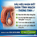 Tìm Hiểu Bệnh Giãn Tĩnh Mạch Thừng Tinh Ở Nam Giới Từ A-Z