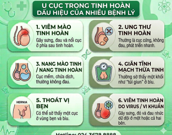 Sờ Thấy U Cục Trong Tinh Hoàn Là Bị Gì? Bác Sĩ Giải Đáp Từ A – Z